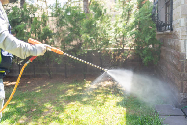Best Termite Control Services  in Wink, TX
