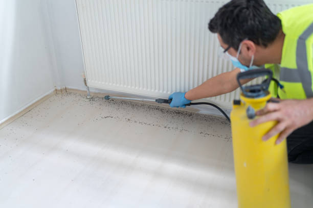 Flea Control Services in Wink, TX